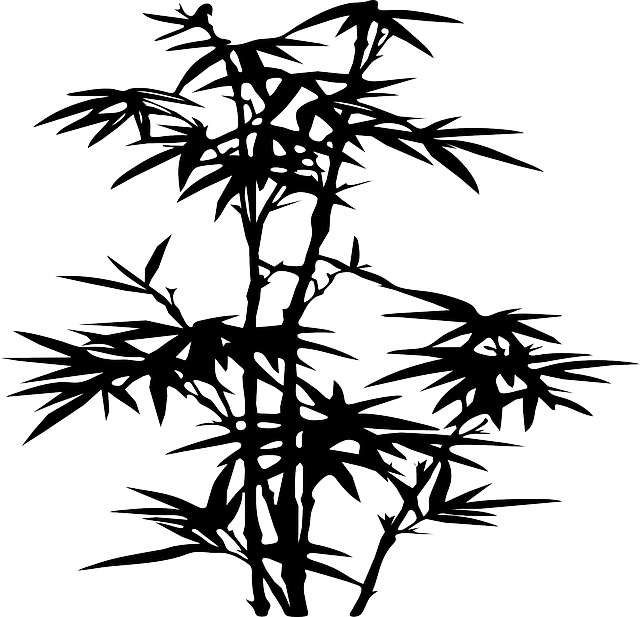 Picture of bamboo shoots