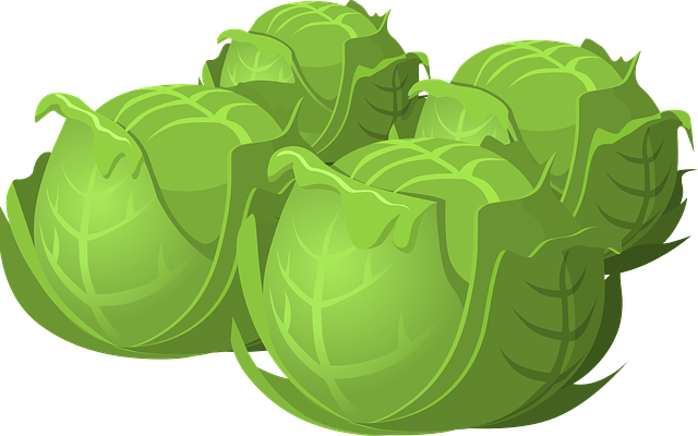 Picture of cabbage