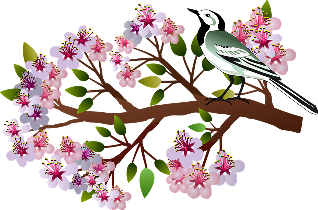 Picture of fenugreek leaves