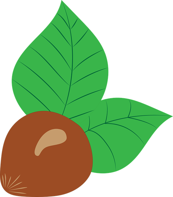 Picture of hazelnuts