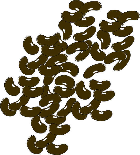 Picture of kidney beans