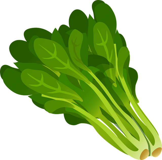 Picture of spinach